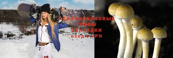 герыч Семилуки