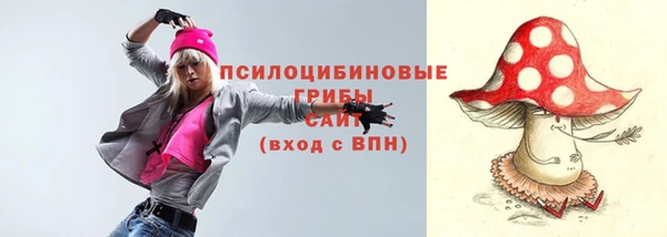 дмт Семикаракорск