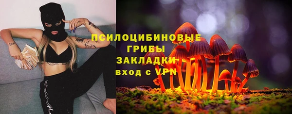 прущая мука Верхний Тагил
