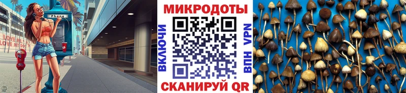 Псилоцибиновые грибы Cubensis  маркетплейс телеграм  Семёнов 
